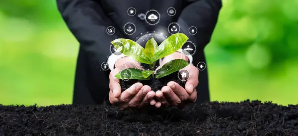 Businessman Nurturing Plant Eco Design Icon Symbolize Commitment Environmental Business — Stock Photo, Image