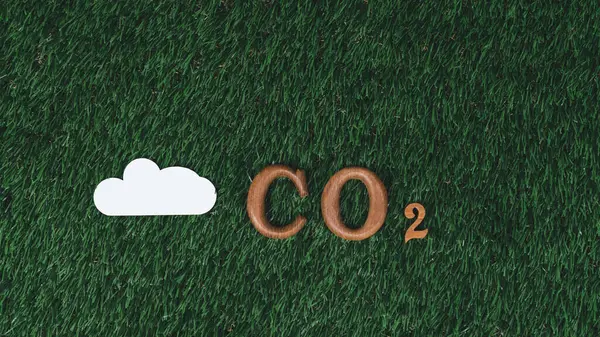 Arranged Wooden Alphabet Text Co2 Biophilic Background Gases Cloud Icon — Stock Photo, Image
