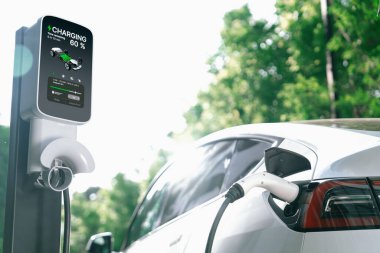 Yazın yeşil sürdürülebilir şehir bahçesinde elektrikli araba şarj oluyor. Kentsel sürdürülebilirlik yaşam tarzı yeşil temiz yeniden şarj edilebilir enerji elektrikli BEV araç iç organları