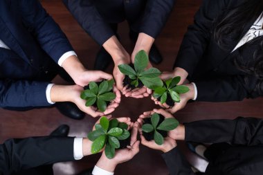 Panoramik afiş, karbondioksit azaltımını ve doğal korumayı destekleyen ve sürdürülebilir geleceği olan bir grup insan tarafından ormanların yeniden ağaçlandırılması üzerine yapılan yatırımdır. Antika