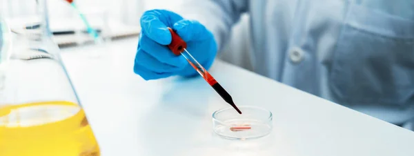 Pesquisador Científico Laboratório Deixa Cair Amostra Sangue Corrediça Microscópica Para — Fotografia de Stock