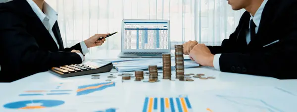 Corporate Accountant Gebruik Maken Van Boekhoudsoftware Laptop Berekenen Maximaliseren Belastingterugbetalingen — Stockfoto