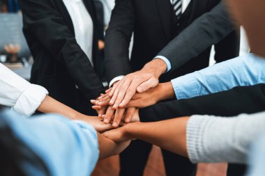 Çok ırklı iş adamları toplantı odasında iş birliği ya da şirket çalışanları için takım oluşturma amacıyla bir araya toplanıyorlar. Çok titiz.