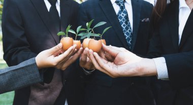 Bir grup iş adamı yumurta kabuğunu gübre tenceresine dönüştürüp, kurumsal yeniden ağaçlandırma projesinin bir parçası olarak filizlenme ve büyümeye olan bağlılığı sembolize ediyorlar. Döngü