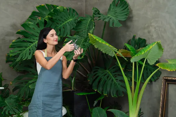 Joven Jardinero Femenino Que Tiende Riega Suavemente Planta Tropical Jardín — Foto de Stock