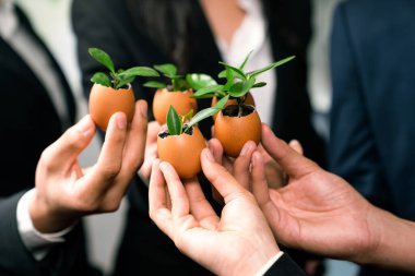 Yumurta kabuğunda filizlenen bir grup iş adamı tarafından ormanların yeniden ağaçlandırılmasına yapılan çevre dostu yatırım CO2 azaltımını ve doğal korumayı teşvik ederek sürdürülebilir bir gelecekle Dünya 'yı kurtardı. Antika