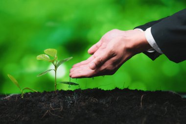 İşadamı, gübrelenmiş toprak konsepti üzerinde büyüyen ve yetiştiren eko şirketinin kurumsal sosyal sorumluluğunu üstlenen, CO2 emisyonunu azaltan ve sürdürülebilir gelecek için ESG ilkesini benimseyen bir iş adamı. Döngü