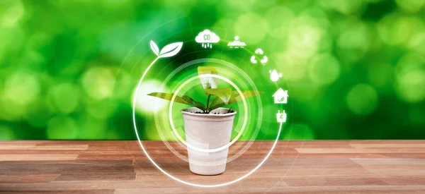 Green Plant Eco Digital Design Icon Symbolize Environmental Friendly Practice — Stock Photo, Image