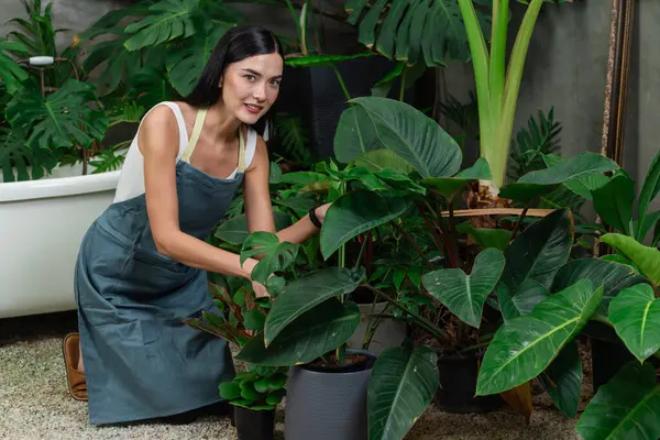 Mladá Zahradnice Pečující Kultivující Tropickou Rostlinu Minimalistickém Architektonickém Betonovém Stylu — Stock fotografie