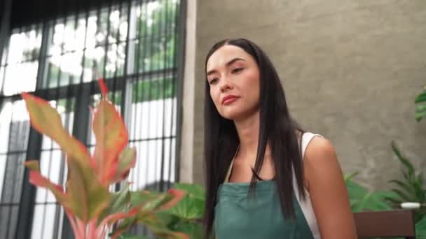 Ung Kvinnlig Trädgårdsmästare Vårda Och Trimma Till Tropisk Växt Minimalistisk — Stockvideo