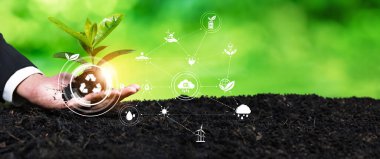 İşadamı geri dönüşüm sembolü ile bitki yetiştirme ve yetiştirme. İş taahhüdü ve gelecekteki sürdürülebilir ekosistem için doğal ve çevresel koruma yatırımı. Panorama Güvenliği