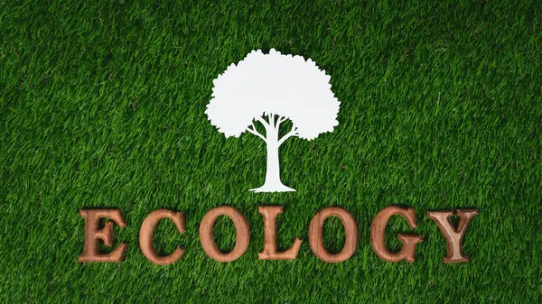 Wooden Alphabet Arranged Ecological Awareness Campaign Eco Icon Design Biophilia — Stock Photo, Image