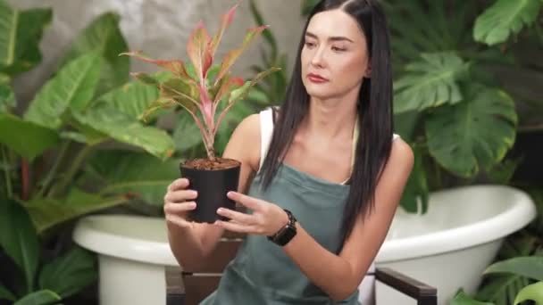Młoda Kobieta Ogrodnik Tendencji Uprawy Roślin Tropikalnych Minimalistycznym Stylu Architektonicznym — Wideo stockowe
