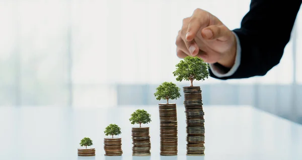 Growth coin stack with tree on top symbolize green business investment on CSR or ESG for environmental protection. Business people doing financial planning to archive net zero sustainability. Shrewd