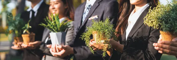 Business People Holding Plant Concept Eco Company Committed Corporate Social — Stock Photo, Image
