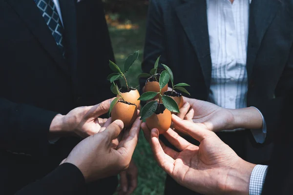 Group Business People Holding Repuposed Eggshell Transformed Fertilizer Pot Symbolizing — Stock Photo, Image