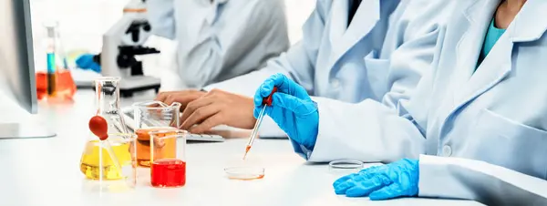 Laboratory Researcher Team Advance Healthcare Scientific Expertise Laboratory Equipment Researching — Stock Photo, Image