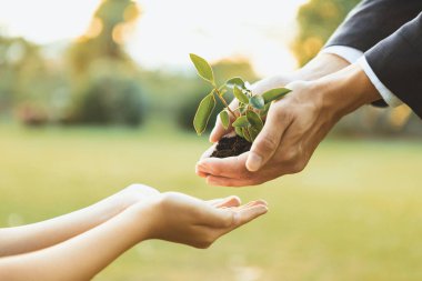 Ekonomik sorumluluk üzerine kurulmuş, CO2 emisyonunu azaltan ve sürdürülebilir gelecek için ESG ilkesini benimseyen bir iş adamı. Gyre