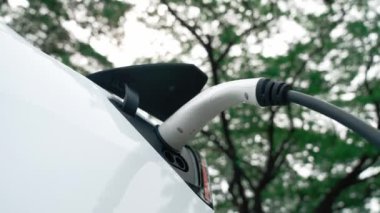 EV elektrikli araç EV şarj istasyonu ulusal park veya açık hava orman manzaralı. Çevre dostu EV arabalarla yaz ormanlarında doğal koruma. Yükselt