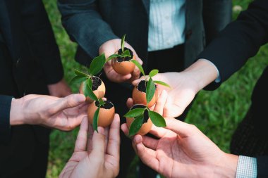 Group of business people holding repuposed eggshell transformed into fertilizer pot, symbolizing commitment to nurture and grow sprout or baby plant as part of a corporate reforestation project. Gyre clipart