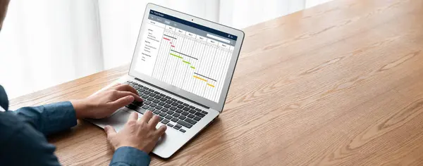 Projectplanningssoftware Voor Modish Business Projectmanagement Het Computerscherm Met Tijdlijnkaart Van — Stockfoto