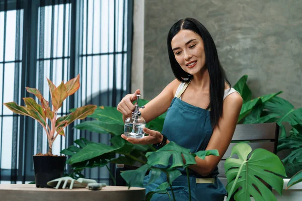 Genç Kadın Bahçıvan Minimalist Mimari Beton Tarzında Tropikal Bitkilerle Ilgileniyor — Stok fotoğraf