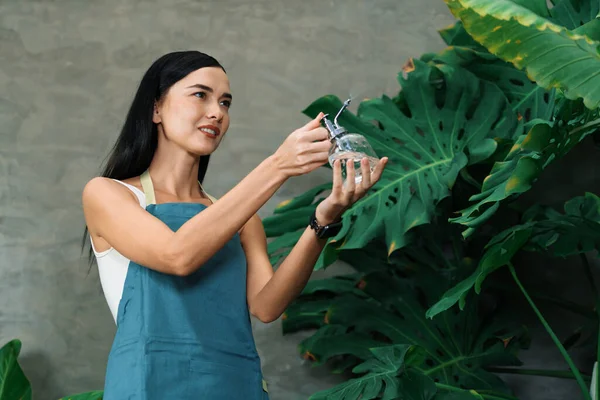 Jovem Jardineira Tendendo Rega Suave Para Planta Tropical Estilo Arquitetônico — Fotografia de Stock