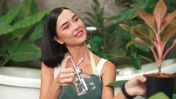 Jonge Vrouwelijke Tuinman Verzorgen Zachtjes Water Geven Aan Tropische Plant — Stockvideo
