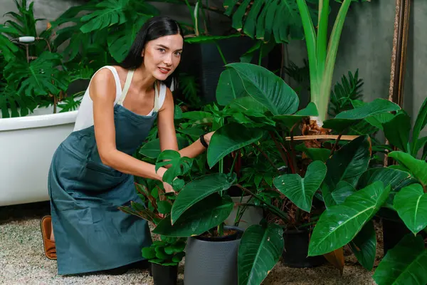 年轻的女园丁在简约的建筑风格 混凝土风格 夏季异国情调的植物园中照料和培育热带植物 以家庭园艺为环保生活方式 — 图库照片