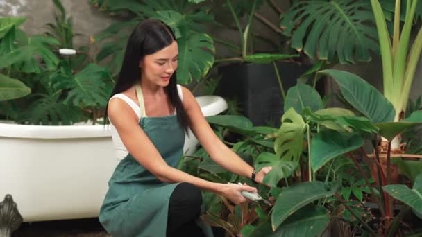 Joven Jardinero Femenino Que Atiende Recorta Planta Tropical Jardín Follaje — Vídeo de stock