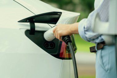 Yolculuk sırasında doğal orman ya da milli parktaki elektrikli araba için şarj olan genç bir kadın. Tatil ve tatil boyunca çevre dostu seyahat. Yükselt