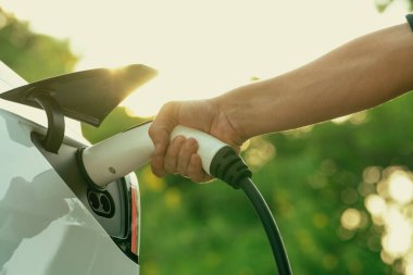 Sonbahar gezisi sırasında sonbahar ormanı arabasında elektrikli araba için şarj eden bir adam. Sonbahar tatilinde elektrikli araçla çevre dostu bir seyahat. Yükselt