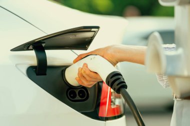 Yolculuk sırasında doğal orman ya da milli parktaki elektrikli araba için şarj olan genç bir kadın. Tatil ve tatil boyunca çevre dostu seyahat. Yükselt