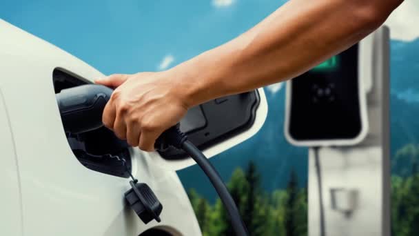 Mão Inserir Carregador Inteligente Para Carro Elétrico Com Natureza Fundo — Vídeo de Stock