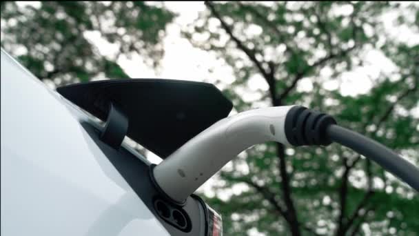 Ev電気自動車は国立公園または屋外の森林の景色のEv充電ステーションからの電池を再充電します 夏の森でエコフレンドリーなEvカー旅行で自然保護 エクスアルト — ストック動画
