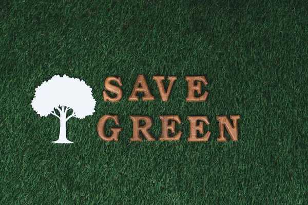 Dřevěná Abeceda Uspořádaná Ekologické Osvětové Kampani Designem Ikon Eco Biofilickém — Stock fotografie