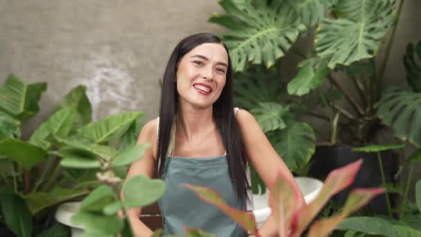Fiatal Női Kertész Gondozása Művelése Trópusi Növény Minimalista Építészeti Beton — Stock videók