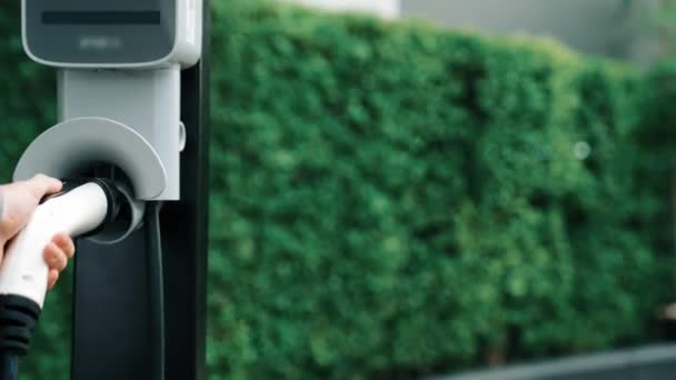 夏季在绿色可持续城市室外花园充电的年轻电动车展示了年轻夫妇在绿色可持续城市购买可充电电动车的生活方式 — 图库视频影像