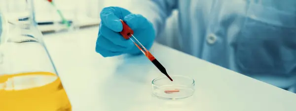 科学实验室的研究人员将血液样本放在显微镜上进行医疗检查或开发新的诊断工具 微生物学家或医务工作者在实验室进行实验 硬性D — 图库照片