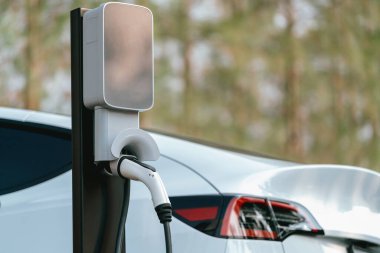 EV elektrikli araç ulusal parktaki EV şarj istasyonundan şarj oluyor ya da sonbahar ormanı manzaralı. Sonbahar portakal ormanlarında çevre dostu EV arabalarla doğal koruma. Yükselt