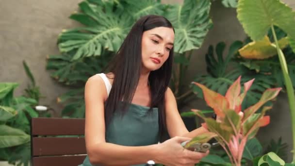 Młoda Kobieta Ogrodnik Tendencji Przycinanie Roślin Tropikalnych Minimalistycznym Stylu Architektonicznym — Wideo stockowe