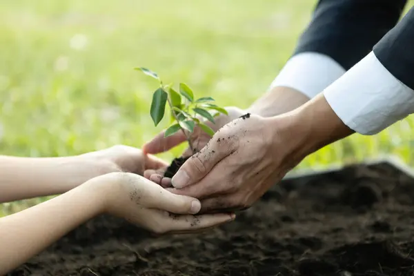 Przedsiębiorcy Uprawiają Pielęgnują Rośliny Nawożonej Glebie Młodym Chłopcem Jako Przedsiębiorstwem — Zdjęcie stockowe