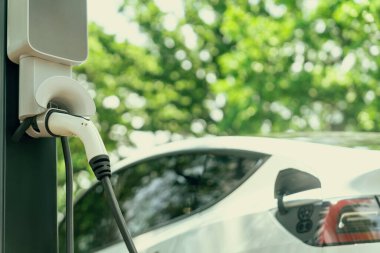 EV elektrikli araç EV şarj istasyonu ulusal park veya açık hava orman manzaralı. Çevre dostu EV arabalarla yaz ormanlarında doğal koruma. Yükselt