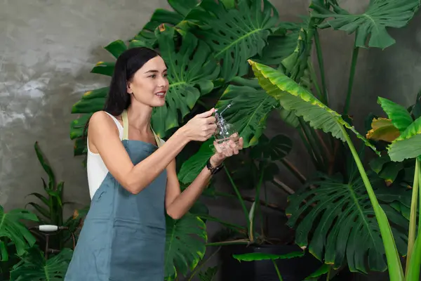 Ung Kvinnlig Trädgårdsmästare Tenderar Och Mild Vattning Till Tropisk Växt — Stockfoto