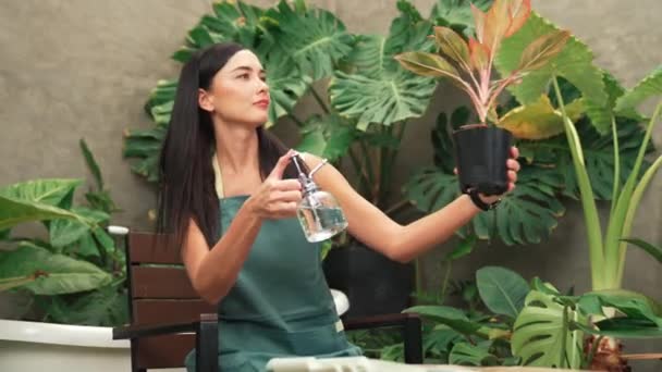 Ung Kvindelig Gartner Tendens Blid Vanding Til Tropisk Plante Minimalistisk – Stock-video