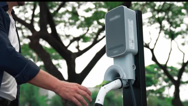 공원에서 자동차 자동차에 배터리를 친환경 엑셀트 — 비디오