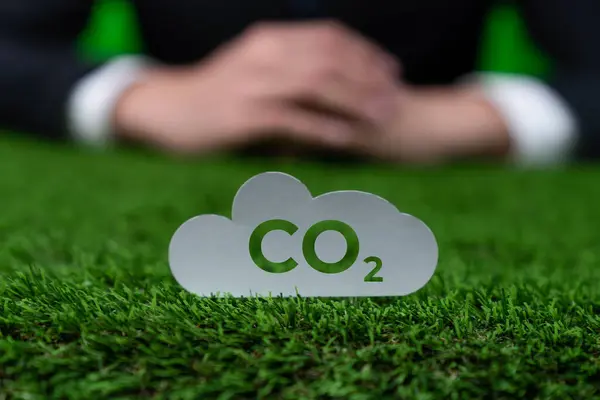 Focused Co2 Gases Icon Grass Blurred Background Businessman Symbolize Eco — Stock Photo, Image