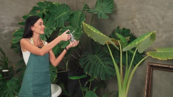 Jonge Vrouwelijke Tuinman Verzorgen Zachtjes Water Geven Aan Tropische Plant — Stockvideo