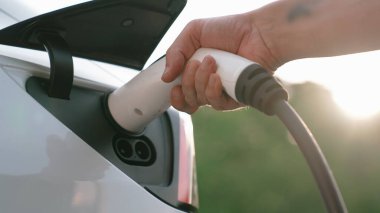 Otomobil yolculuğu sırasında elektrikli araba için şarj olan yakın çekim adamı. Ormanda ya da güneş ışığıyla birlikte ulusal parkta. Tatil ve tatil boyunca çevre dostu seyahat. Yükselt