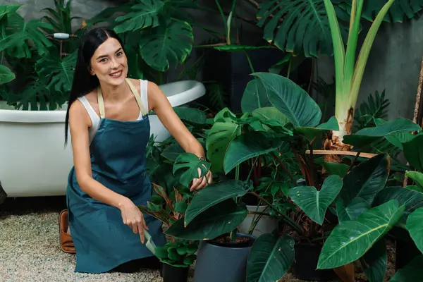 Joven Jardinero Femenino Que Tiende Cultiva Planta Tropical Estilo Arquitectónico — Foto de Stock